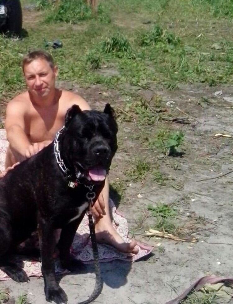 ���������� ����, ���� ������� �������, 49 ���, ������������ ��� ����� � ���������, c�������� ���������