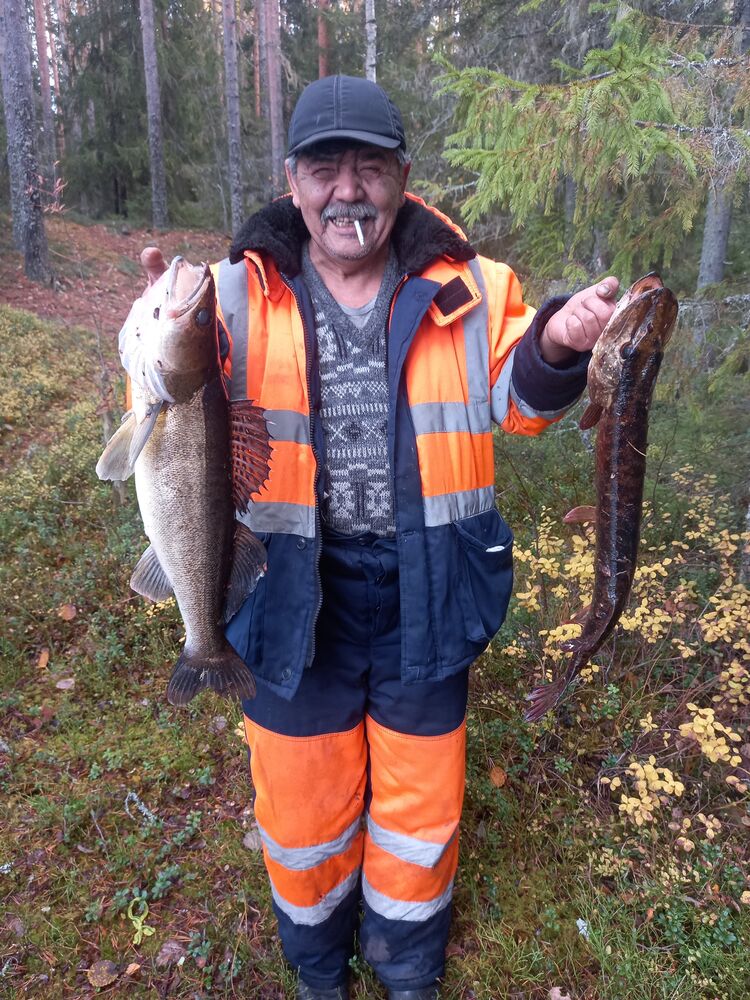 ���� 53713540 ������� ������, 100 ���, ���� ���������� � �����-����������