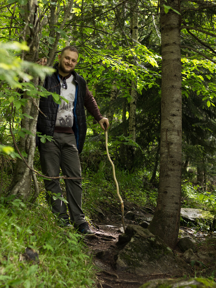 ���������� �������, ���� ������� ��������, 42 ����, ������������ ��� c�������� ���������