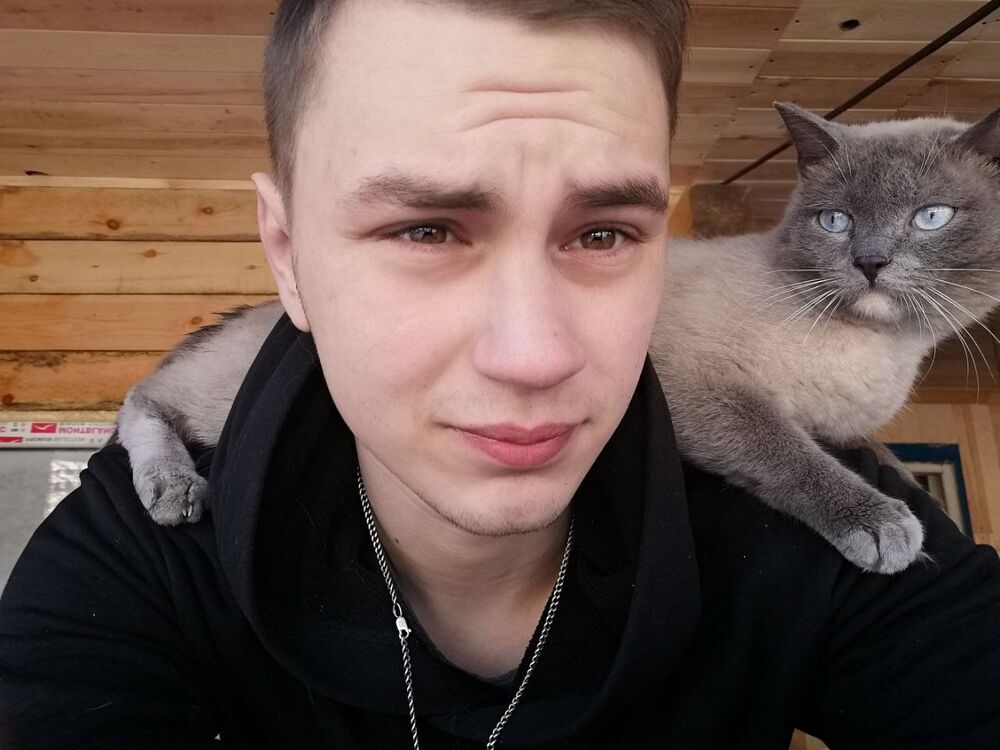  29413590  , 23 ,    -