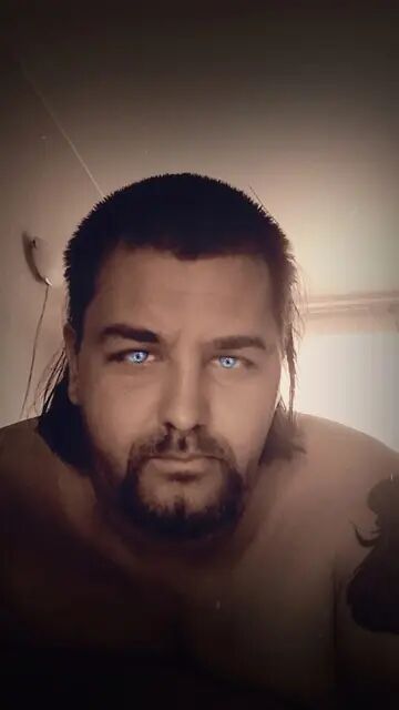  46174330  , 44 ,    -