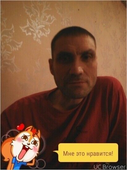  ,   , 53 ,   , 