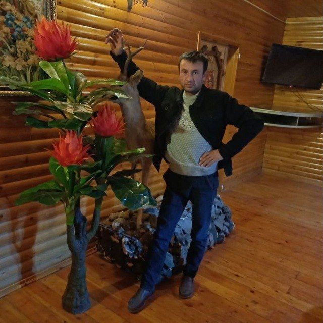 ���� 55368370 ������� ��, 29 ���, ���� ���������� � ��������