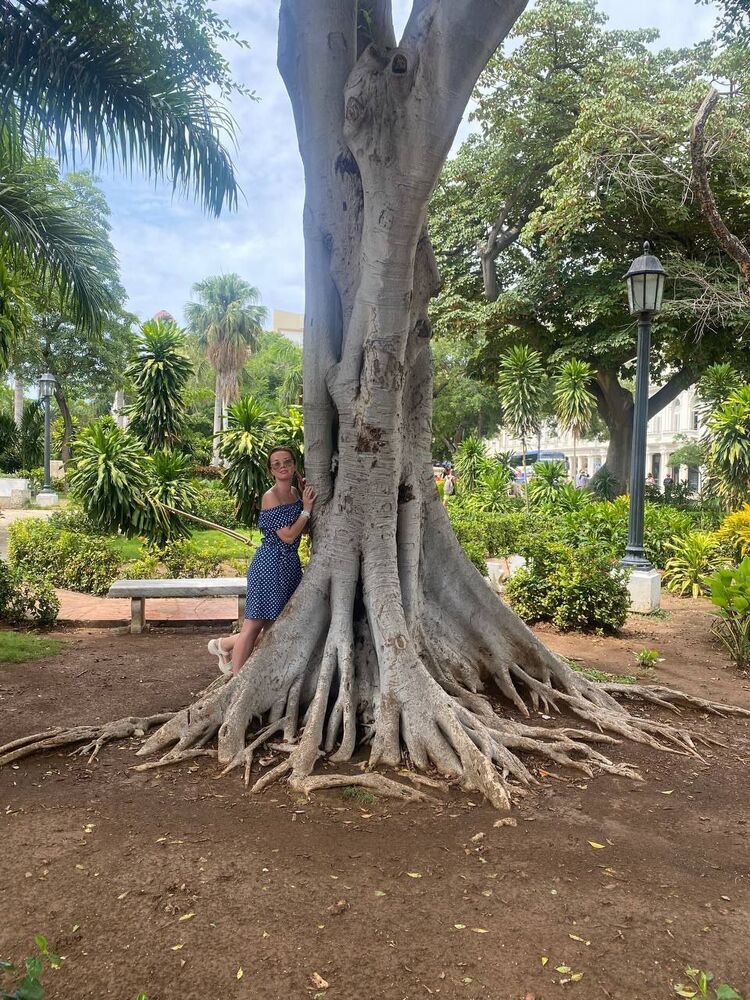 ���������� ������, ���� ������� Antonina, 31 ���, ������������ ��� ������, ����� � ���������