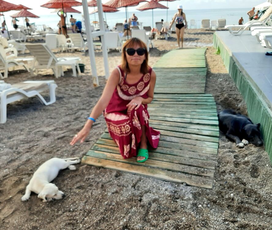  ,   , 42 ,   ,   