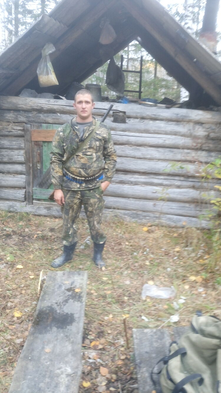  53048860  , 36 ,    -