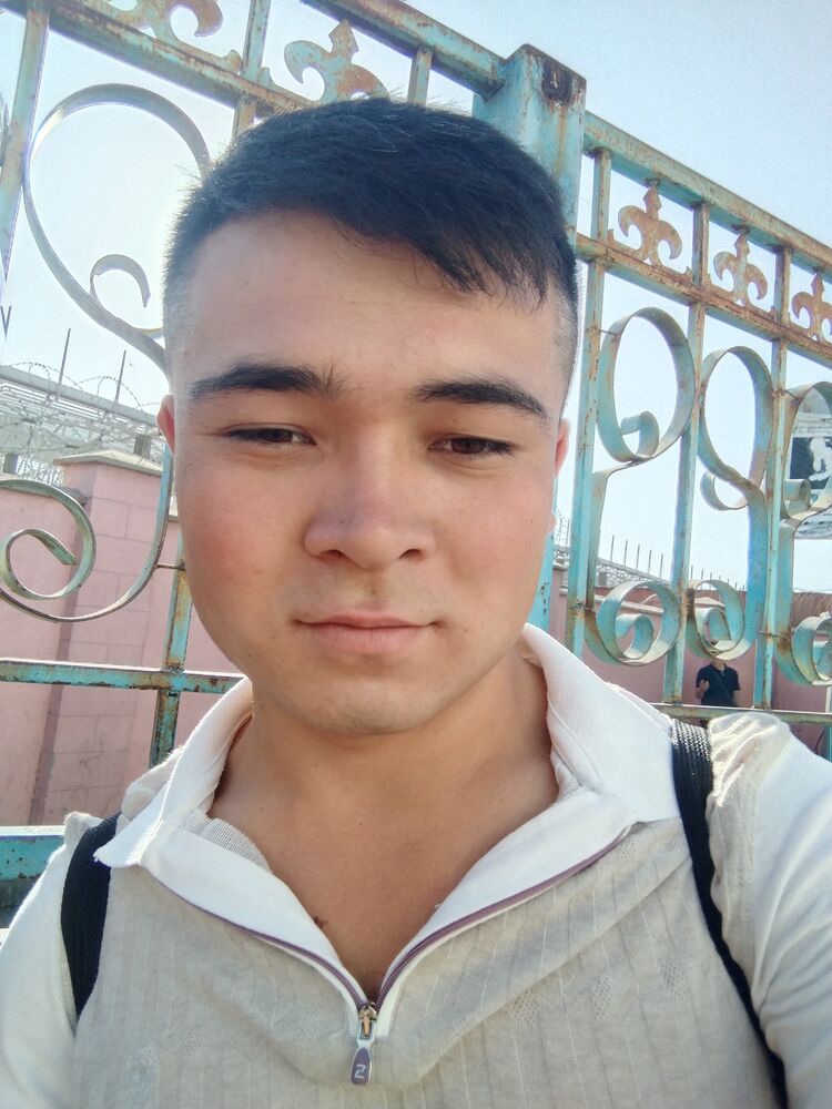  31128810  , 24 ,    -