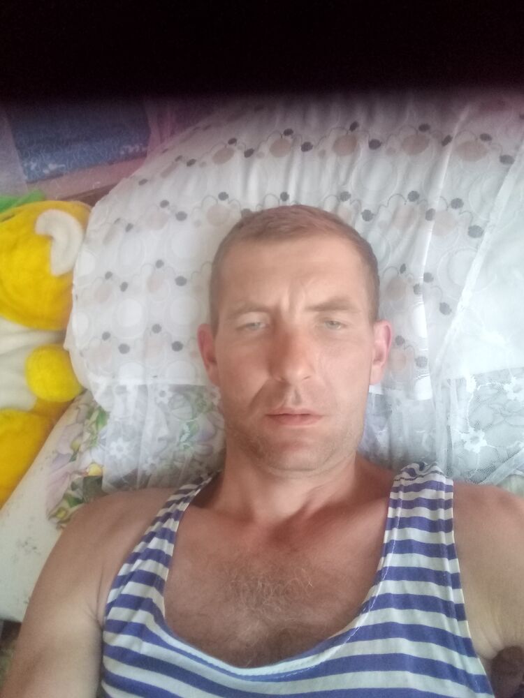  23155430  , 46 ,    