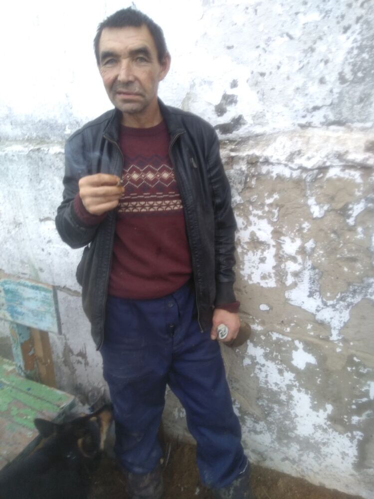  31289660  , 49 ,    -