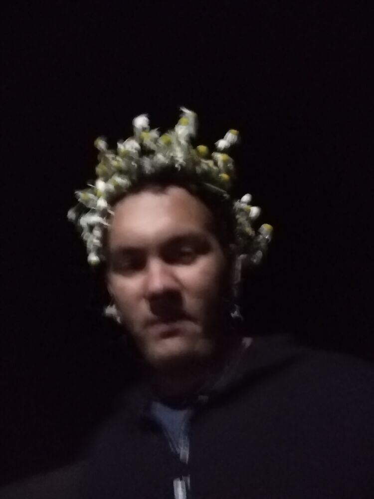  36562640  , 25 ,    