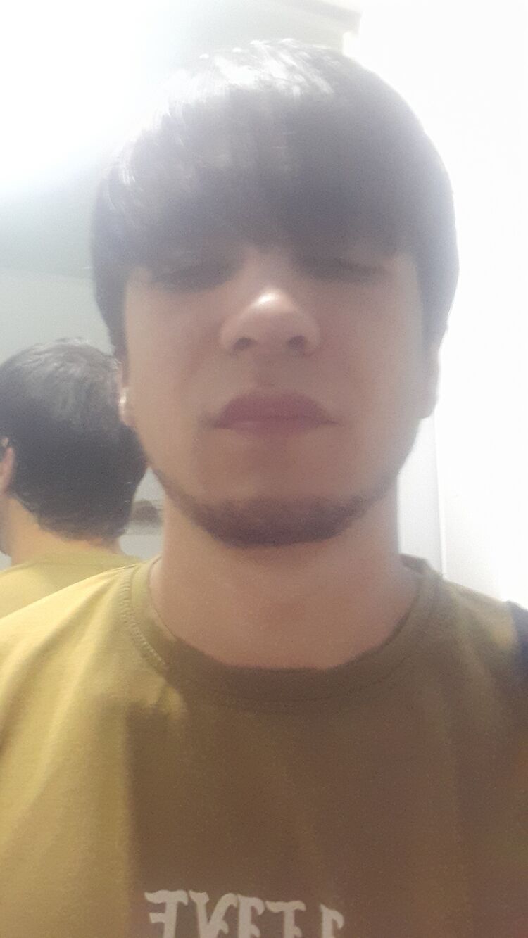 ���� 56038810 ����� Han, 23 ����, ���� ���������� � ��������