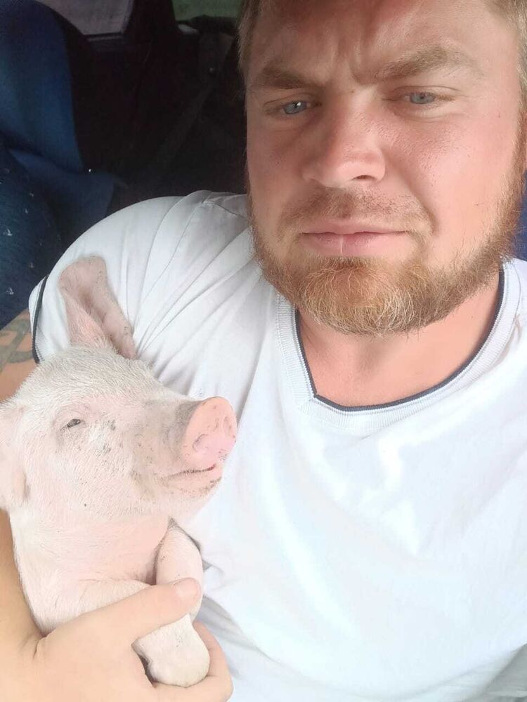 ���������� ������, ���� ������� �������, 36 ���, ������������ ��� ������, ����� � ���������, c�������� ���������