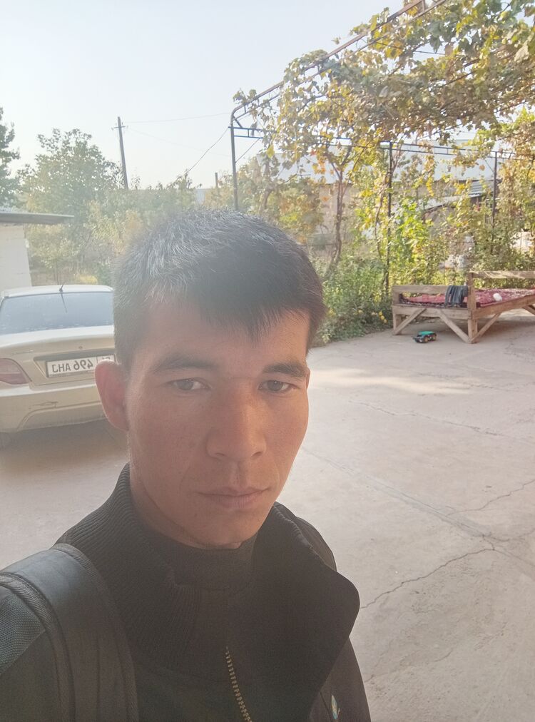  54459710  , 29 ,    -