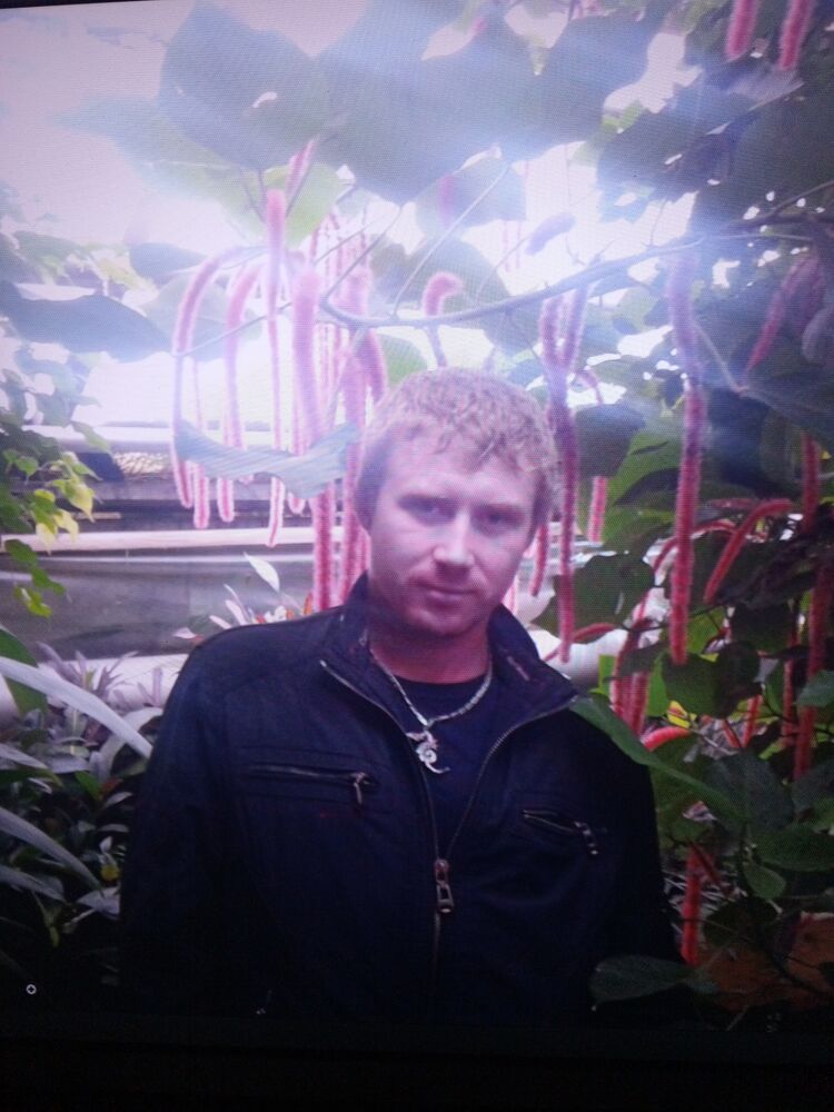  --,   Lis, 36 ,   ,   