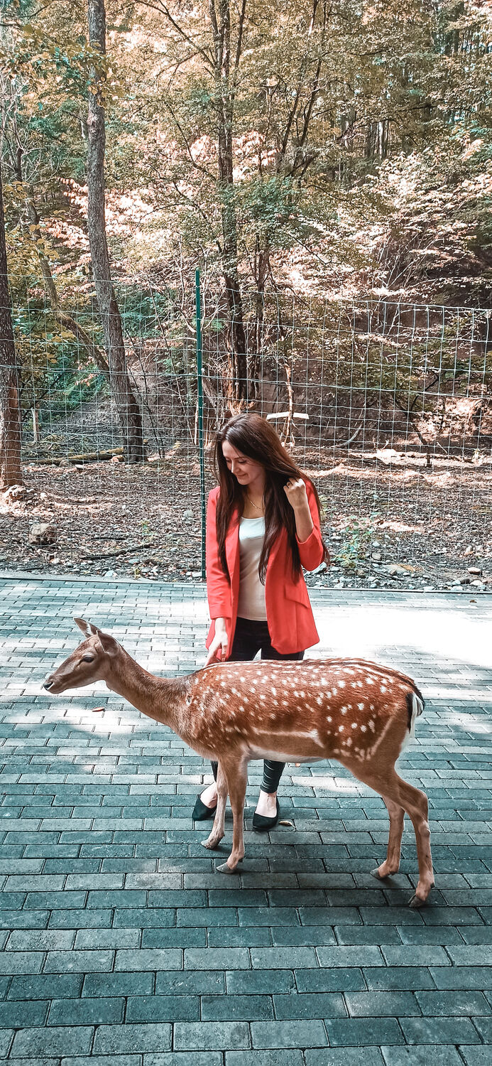 ���� 31404840 ������� ���, 31 ���, ���� ���������� � �������-��-����