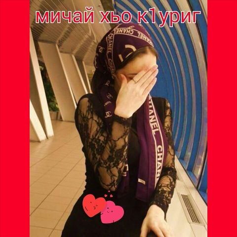 ���� 6602850 ������� ����, 43 ����, ���� ���������� � ����������