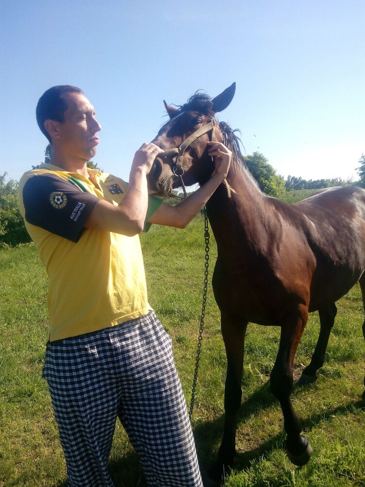  ,   Aleks, 38 ,   ,   , c 