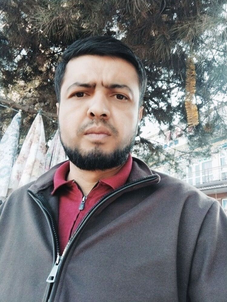  53729850  , 38 ,    -