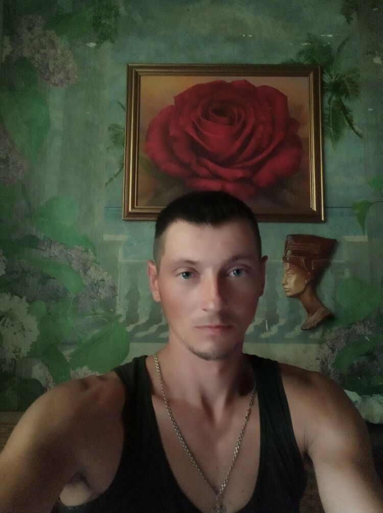  29044290  , 37 ,    