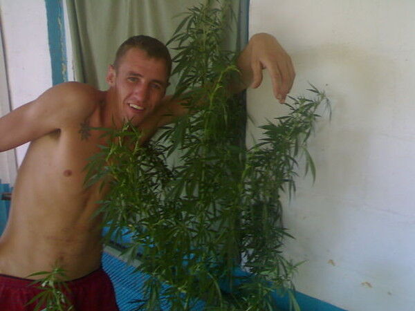 ���������� ���������, ���� ������� ����, 38 ���, ������������ ��� ������