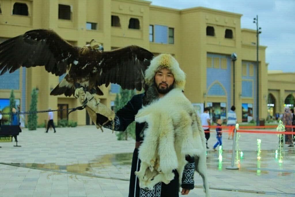 ���� 28602450 ������� ������, 33 ����, ���� ���������� � ������