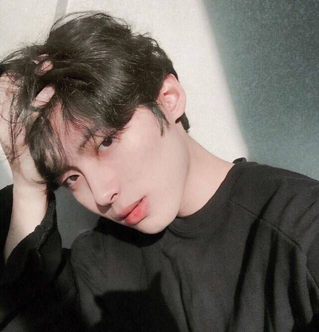 ���� 49104260 ����� Tai, 18 ���, ���� ���������� � �����