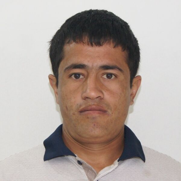 ���������� ������, ���� ������� ����, 33 ����, ������������ ��� ������, ����� � ���������