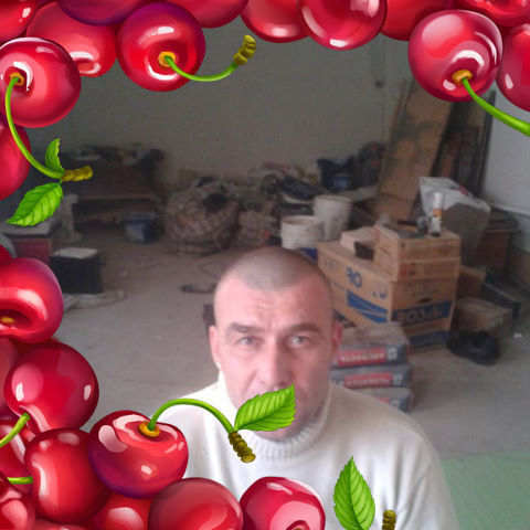 ,   , 56 ,   