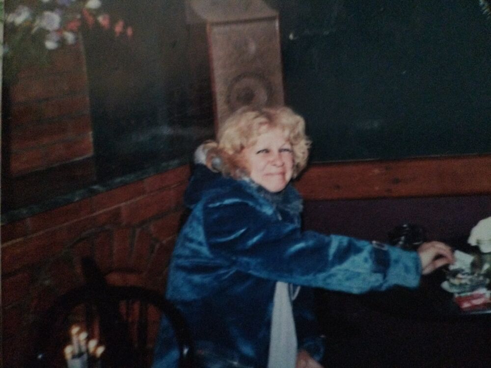  54497210  , 48 ,    -