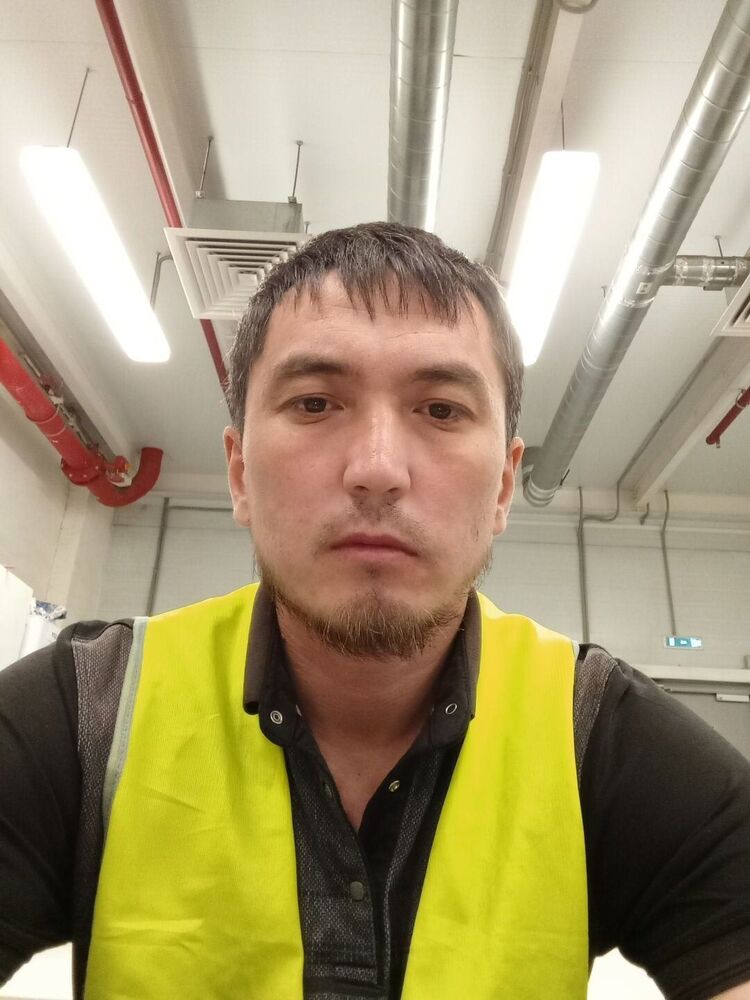  51541580  , 31 ,    