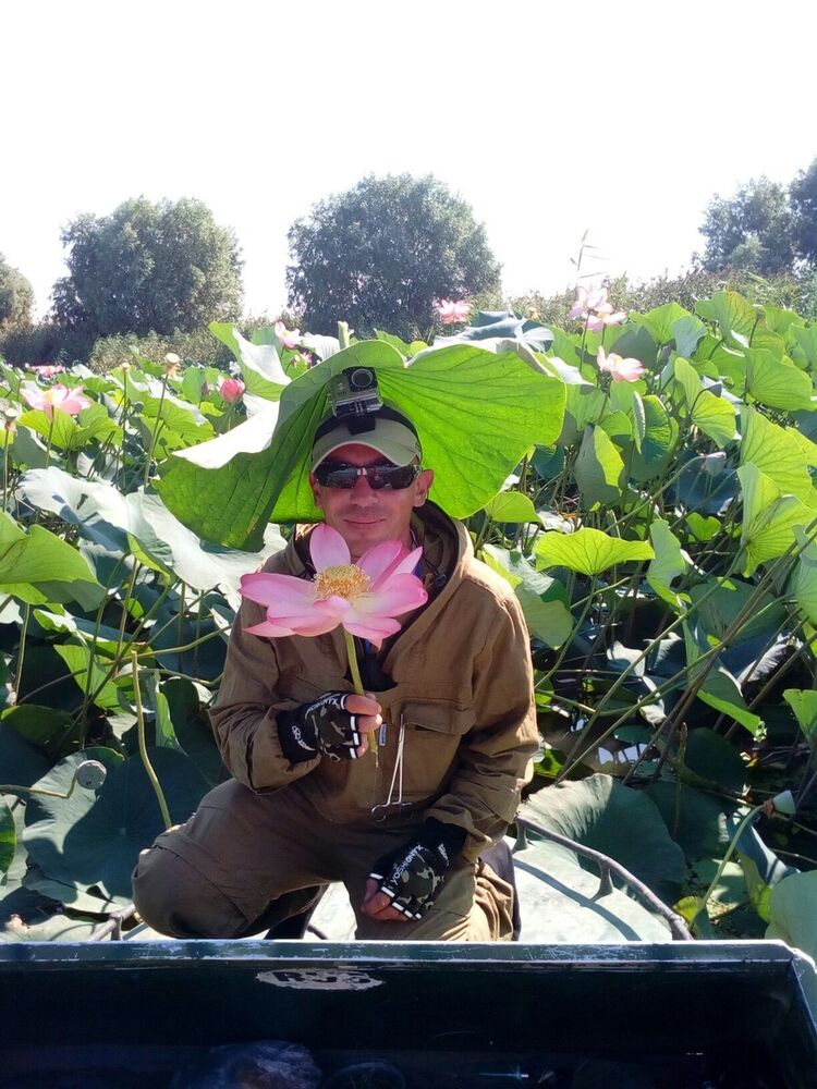 ���� 19334960 ������� Sega, 44 ����, ���� ���������� � ����������