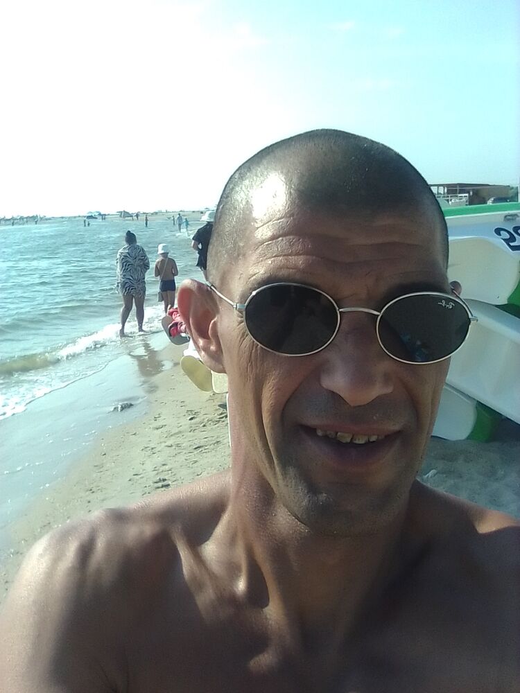  23381890  , 49 ,    