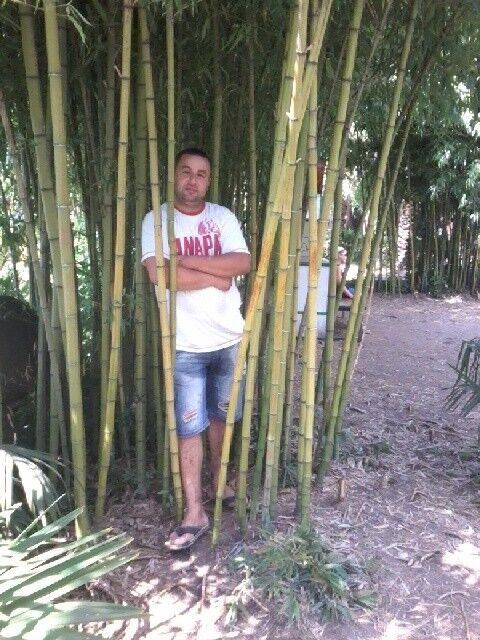 ���������� �����, ���� ������� �������, 42 ����, ������������ ��� ������, ����� � ���������, c�������� ���������