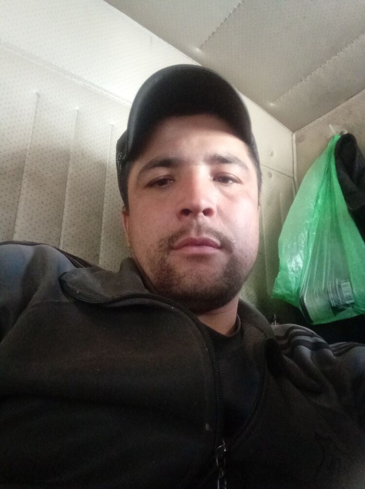  43246100  , 28 ,    