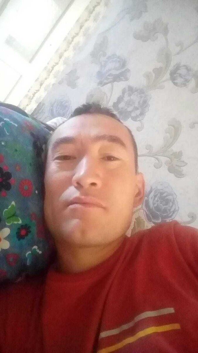  17682370  , 31 ,    