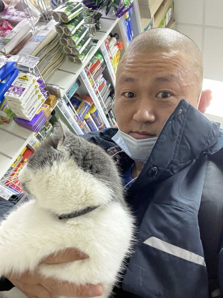 ���������� �����, ���� ������� ����, 43 ����, ������������ ��� ������, ����� � ���������