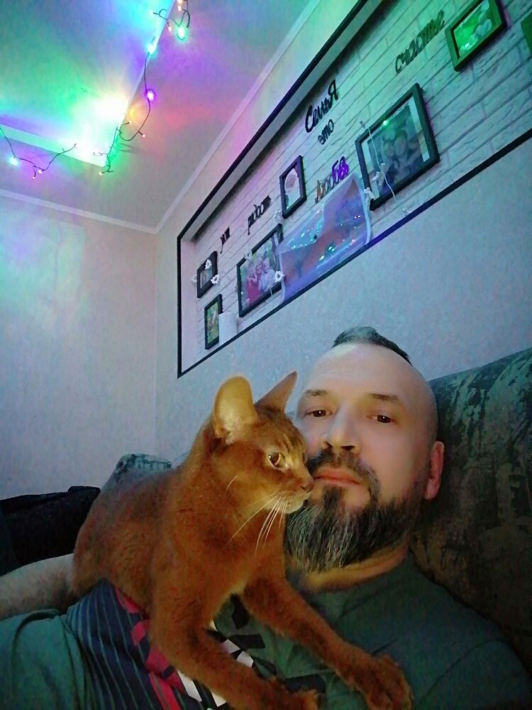  ,   , 43 ,   ,   