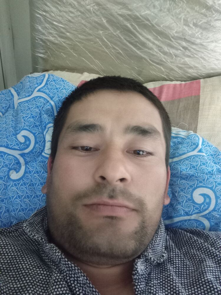 ���� 36088070 ������� ������, 33 ����, ���� ���������� � ������