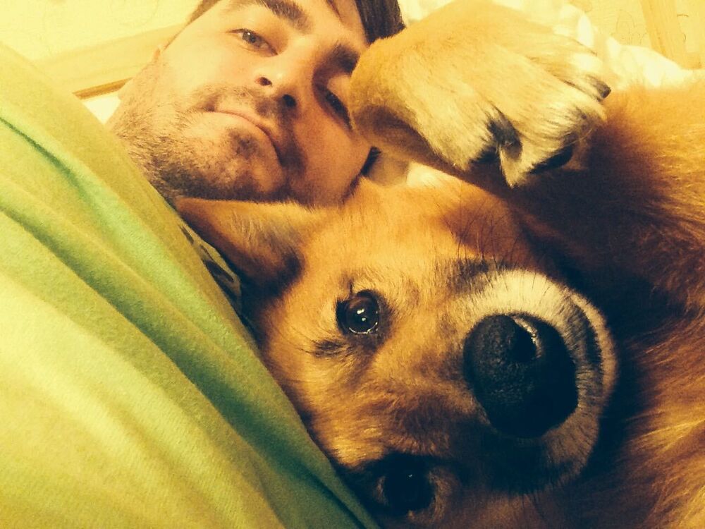 ���������� �����-���������, ���� ������� ����, 37 ���, ������������ ��� ������, ����� � ���������