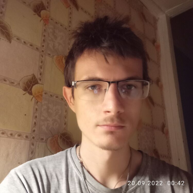  29338270  , 27 ,    