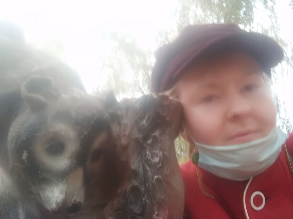 ���������� �������, ���� ������� �����, 31 ���, ������������ ��� c�������� ���������