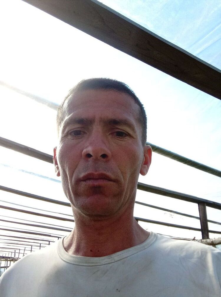 ���������� ������, ���� ������� ����, 43 ����, ������������ ��� ������, ����� � ���������