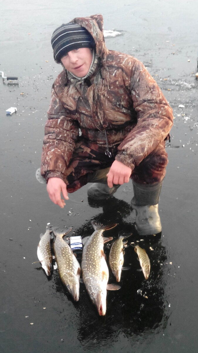 ���������� �����, ���� ������� ������, 38 ���, ������������ ��� ������