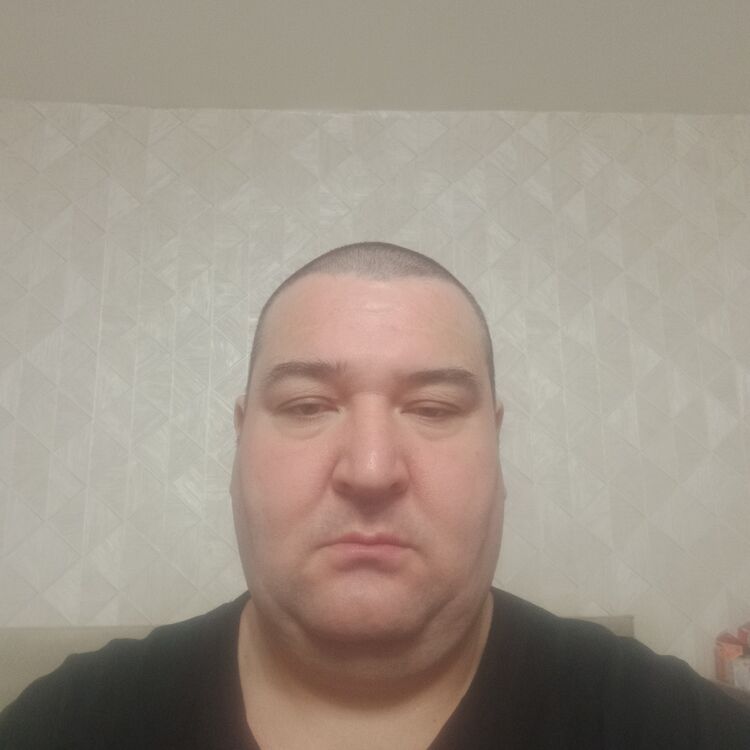  39334970  , 48 ,    
