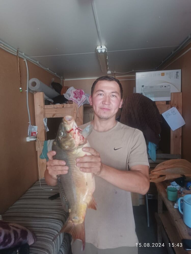 ���������� ������, ���� ������� Orif, 31 ���, ������������ ��� ������, ����� � ���������