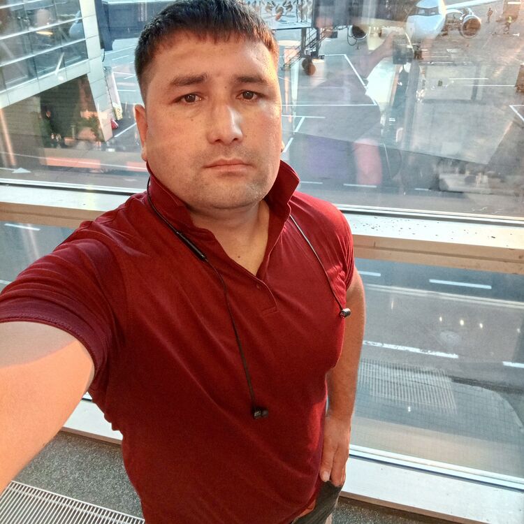  48218650  , 33 ,    