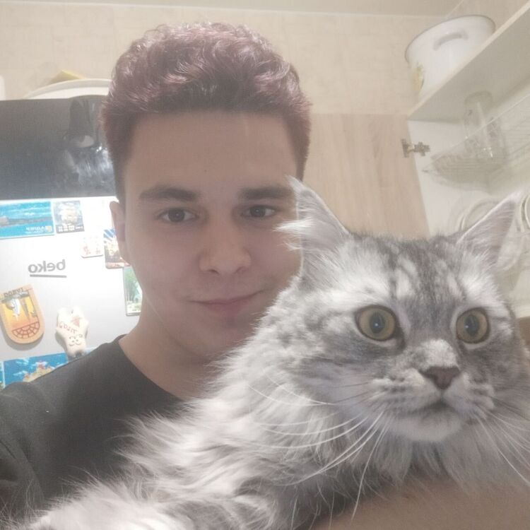 ���� 55289750 ����� ������, 23 ����, ���� ���������� � ������