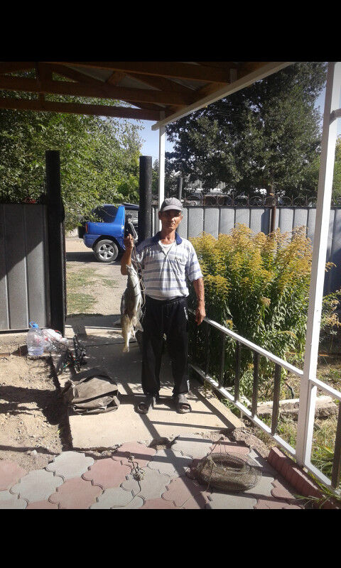  ,   Chaldon, 64 ,     , c 