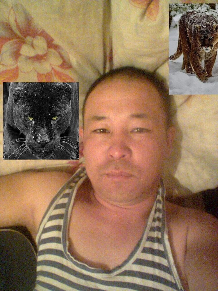  20036380  , 46 ,    