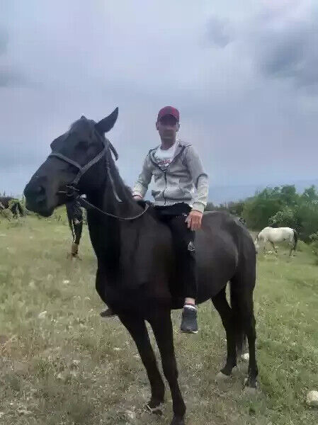 ���������� ����, ���� ������� ����, 37 ���, ������������ ��� ������, ����� � ���������, c�������� ���������